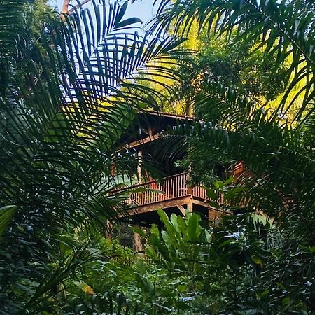 Pousada Anjali Velha Boipeba Bagian luar foto