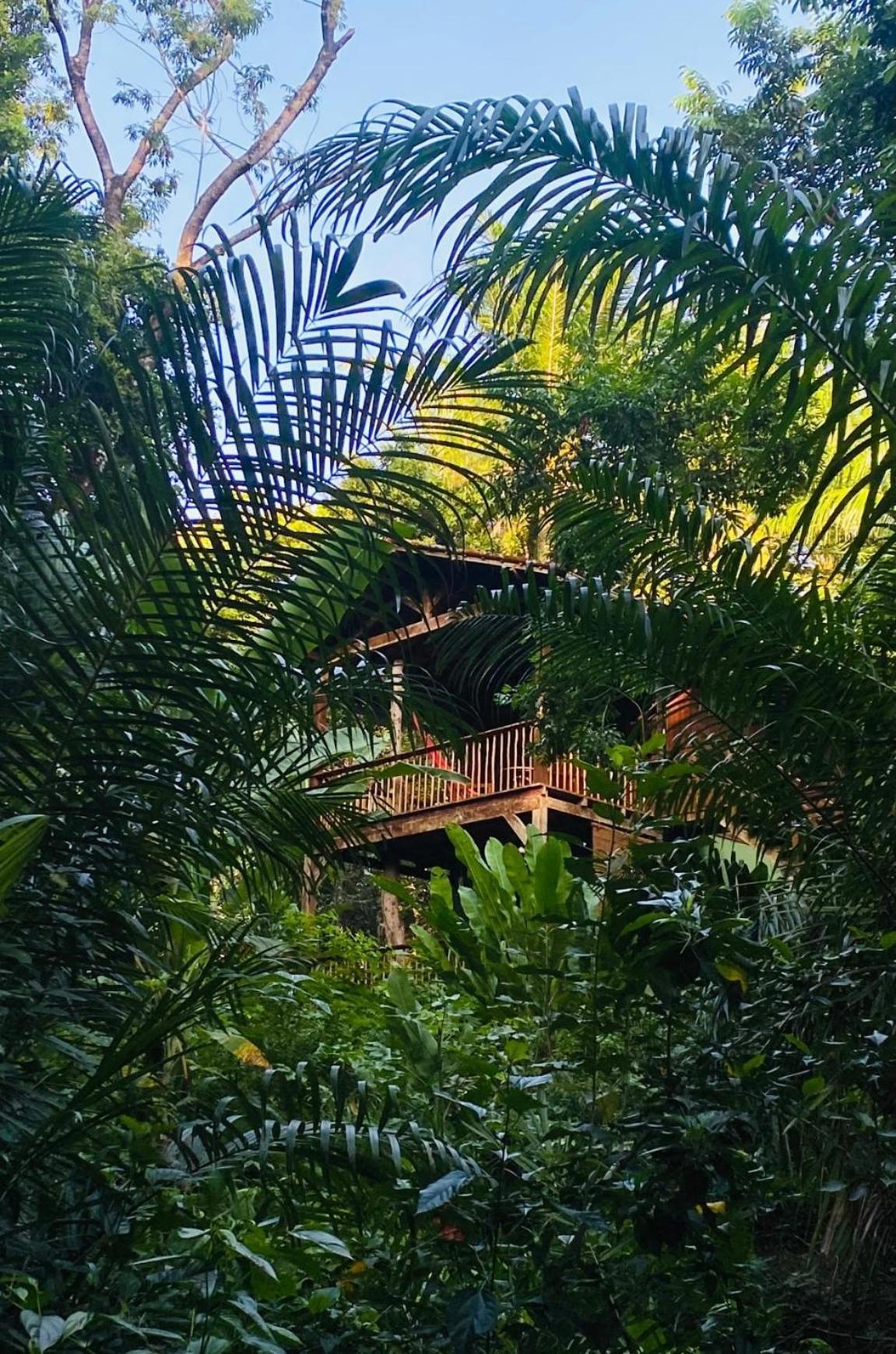 Pousada Anjali Velha Boipeba Bagian luar foto